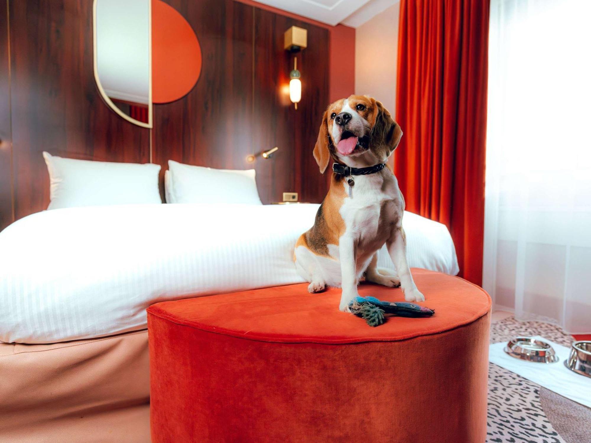 Nest Paris La Defense - Mgallery Puteaux Kültér fotó A dog in a hotel room
